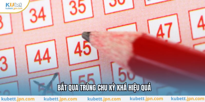 Bắt qua trùng chu kỳ khá hiệu quả
