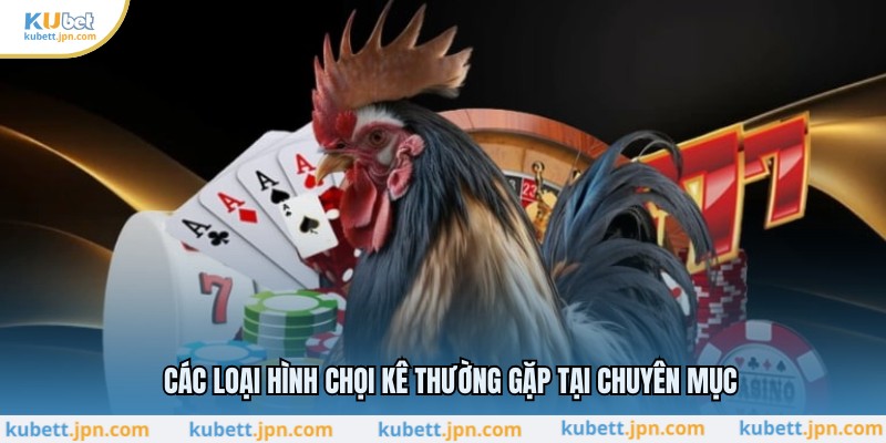 Các loại hình chọi kê thường gặp tại chuyên mục