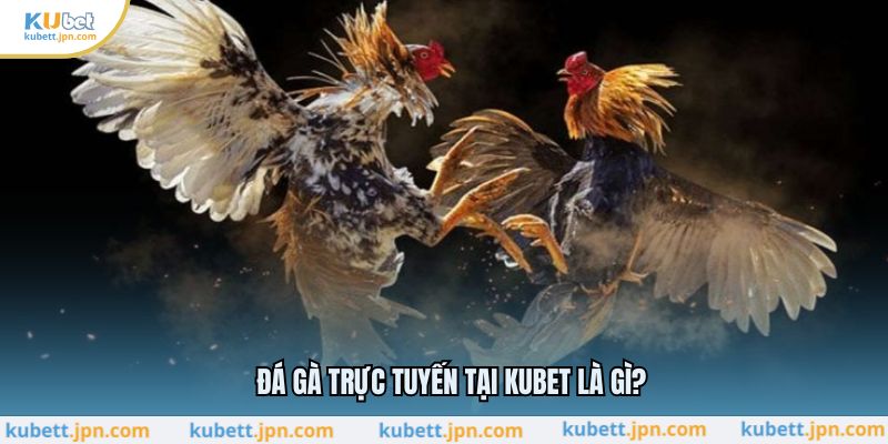 Đá gà trực tuyến tại KUBET là gì?