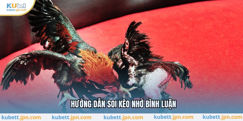 Hướng dẫn soi kèo nhờ bình luận