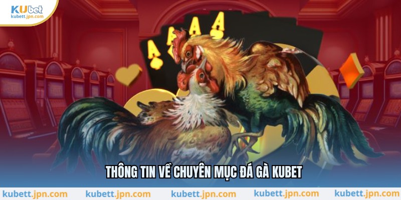 Thông tin về chuyên mục đá gà KUBET